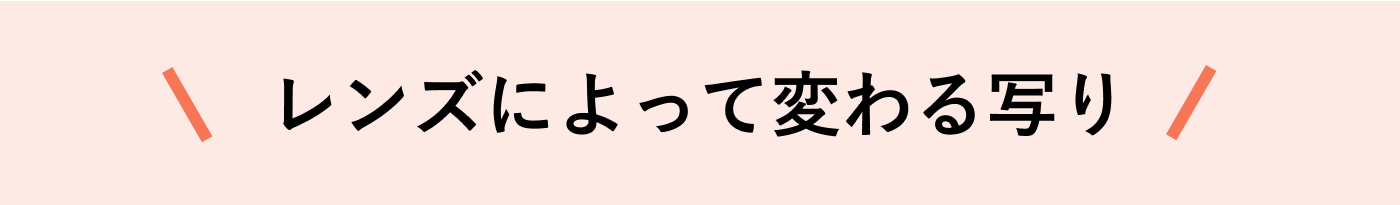 レンズによって変わる写り