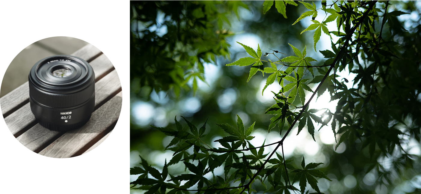 NIKKOR Z 40mm f/2と作例