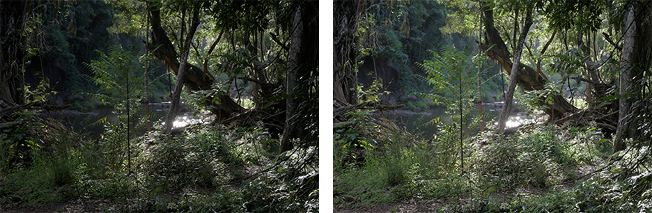 アクティブD-ライティングの比較写真