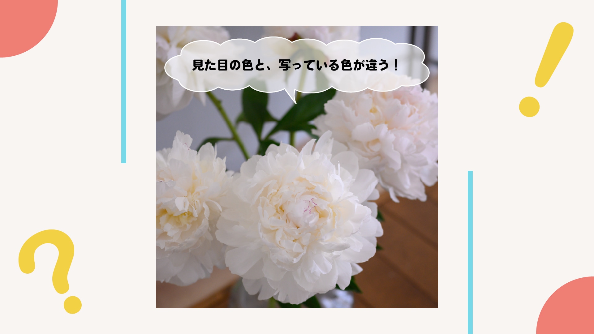 見えている白色と違って青や黄味がかっちゃう...どう直す？