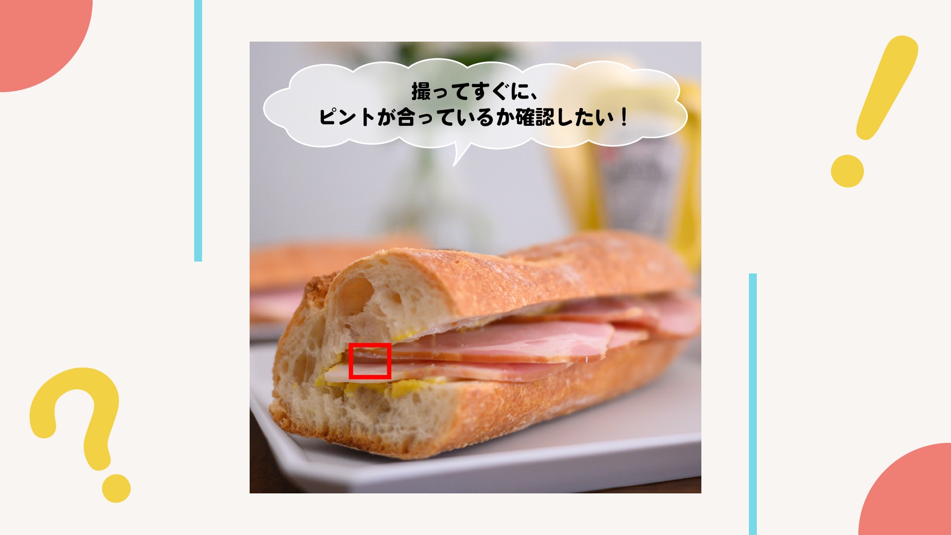 撮ってすぐに、ピントが合っているかどうか確認したい！