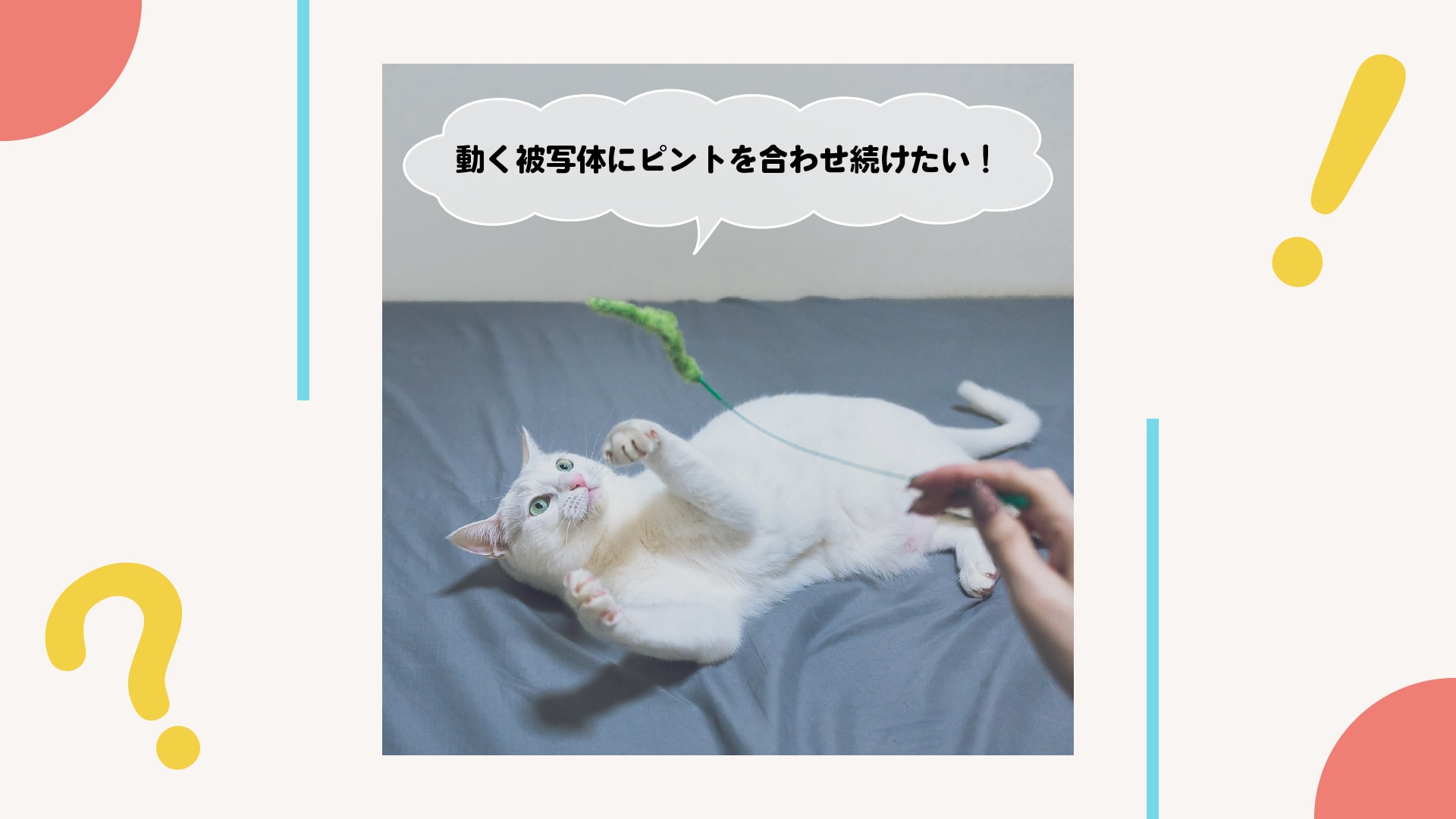 動く被写体にピントを合わせ続けたい！カメラにお任せできる？