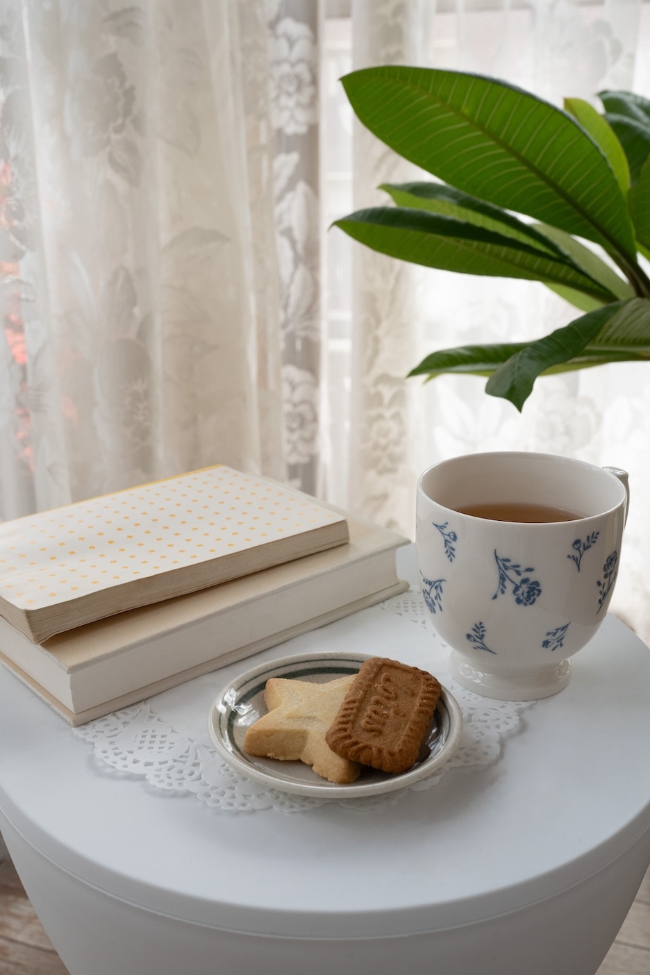 F11で撮影した写真