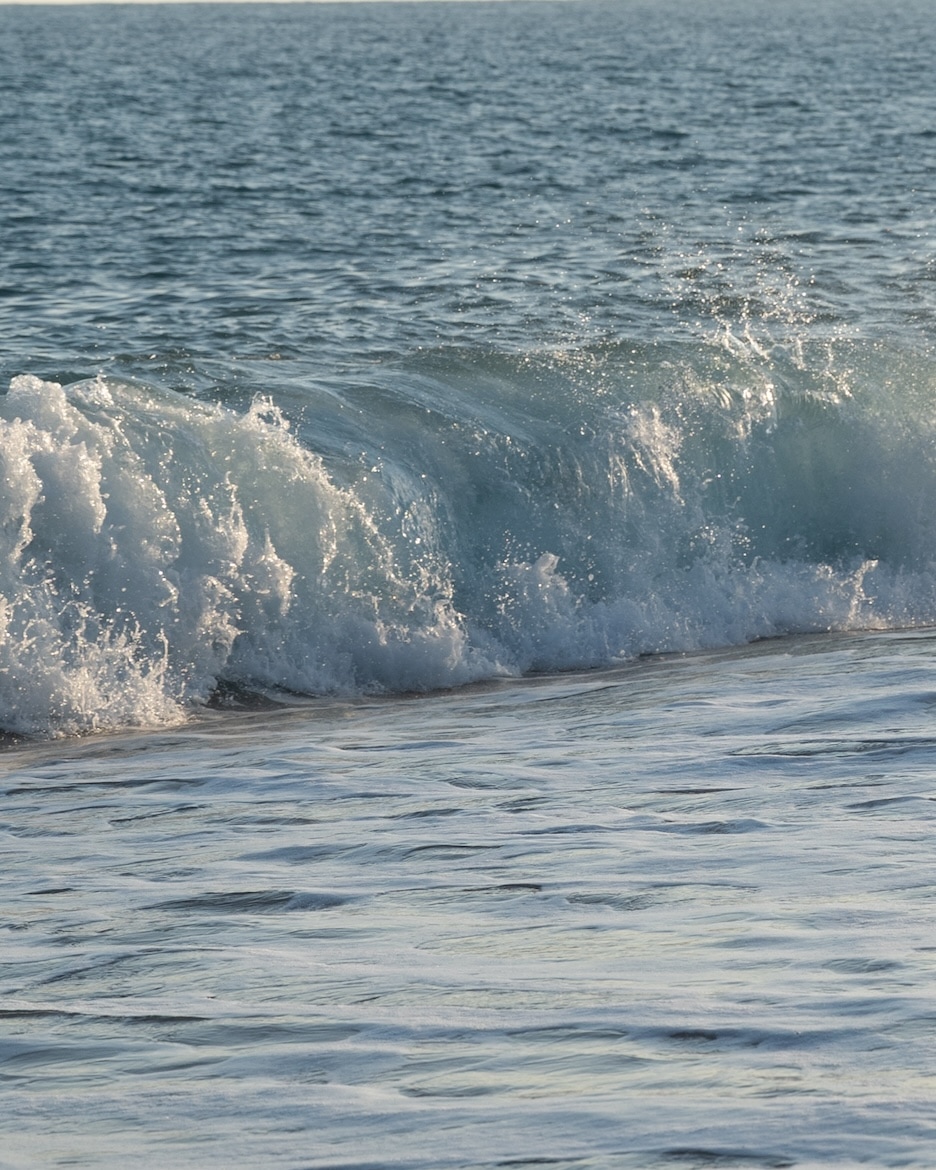シャッタースピード：1/2000秒で撮影した写真