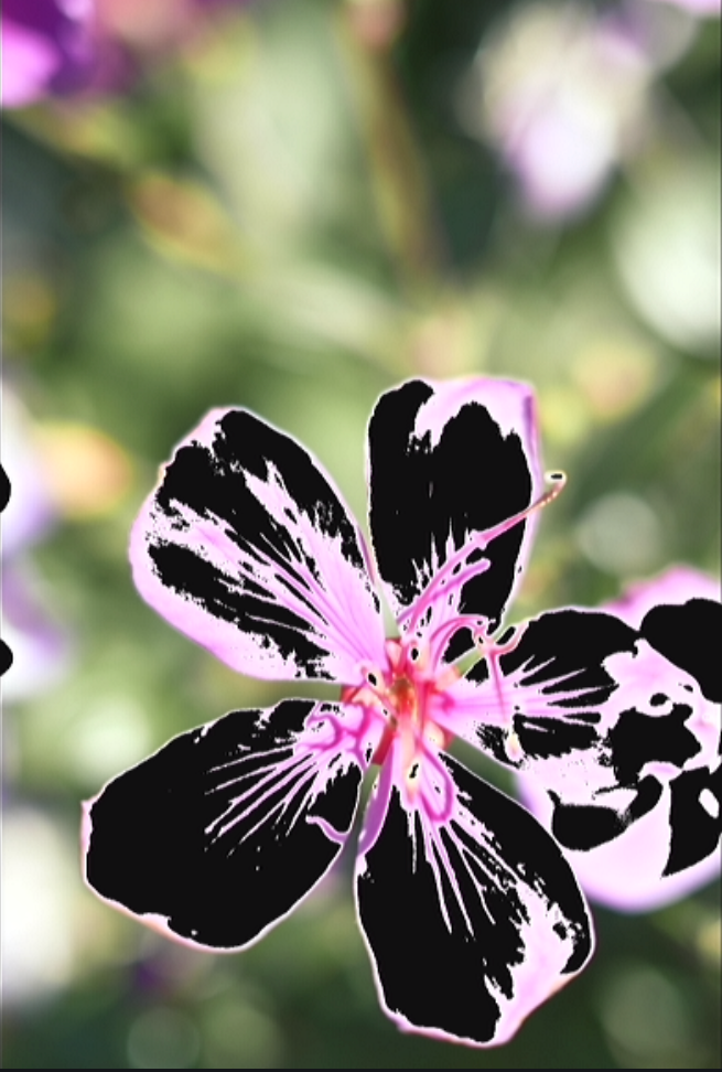 白とびしている写真