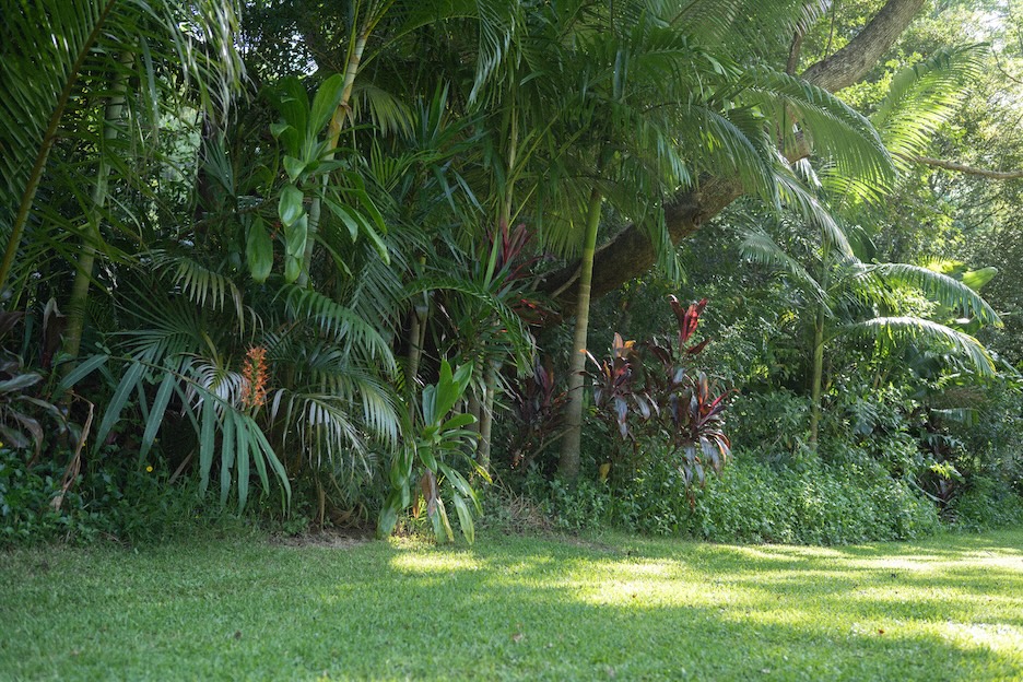 マルチパターン測光の作例写真