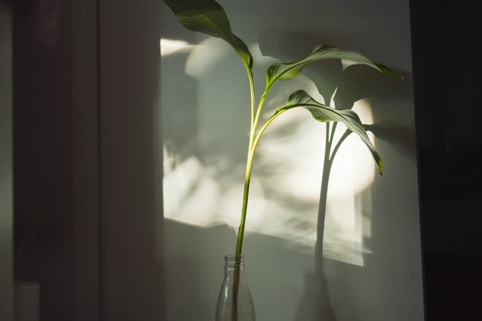 スポット測光の作例写真