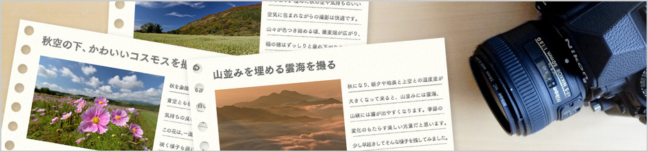 好きな写真の「撮り方」レシピ