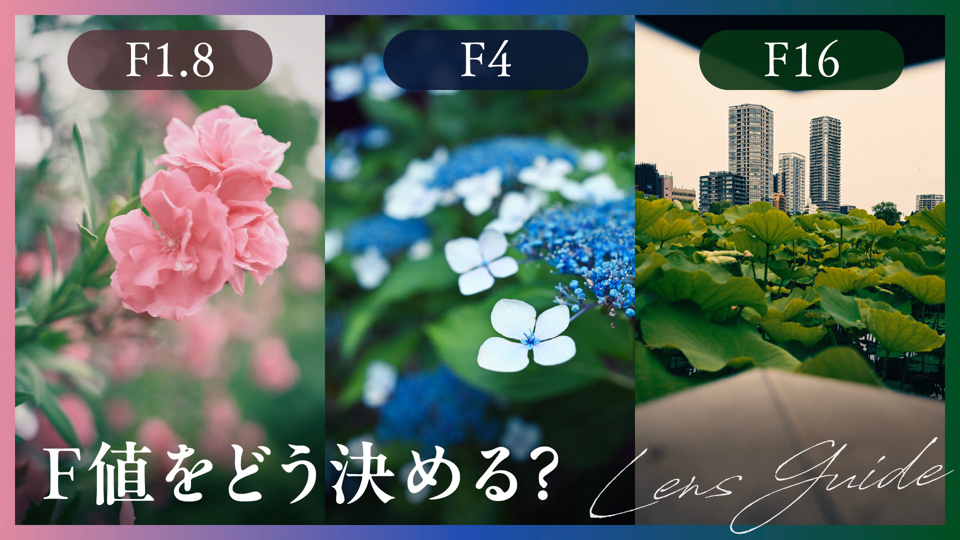 表現ごとのF値の決め方。ボケで主題を強調？全体にピントを合わせる？