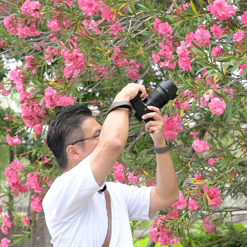 花を主題に際立たせる