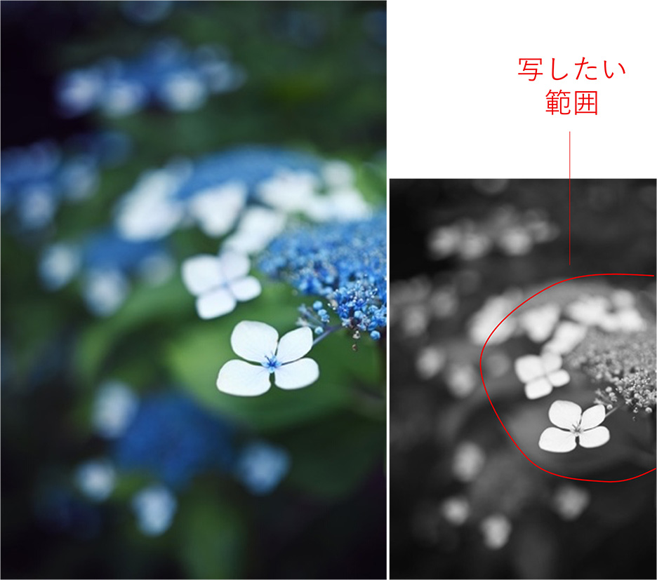 F1.8では写したい範囲の大半がボケてしまう
