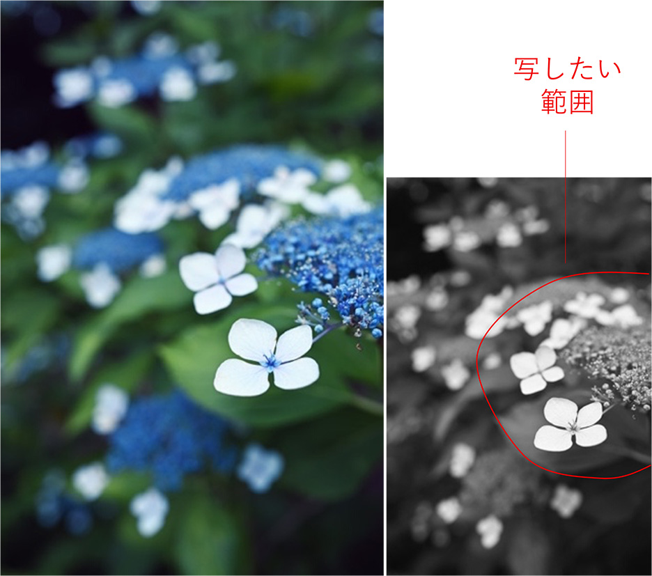 F4まで絞ることで写したい範囲のディテールを描写できる