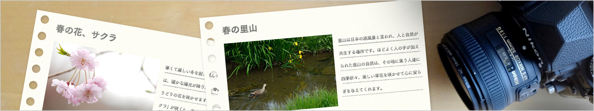 好きな写真の「撮り方」レシピ