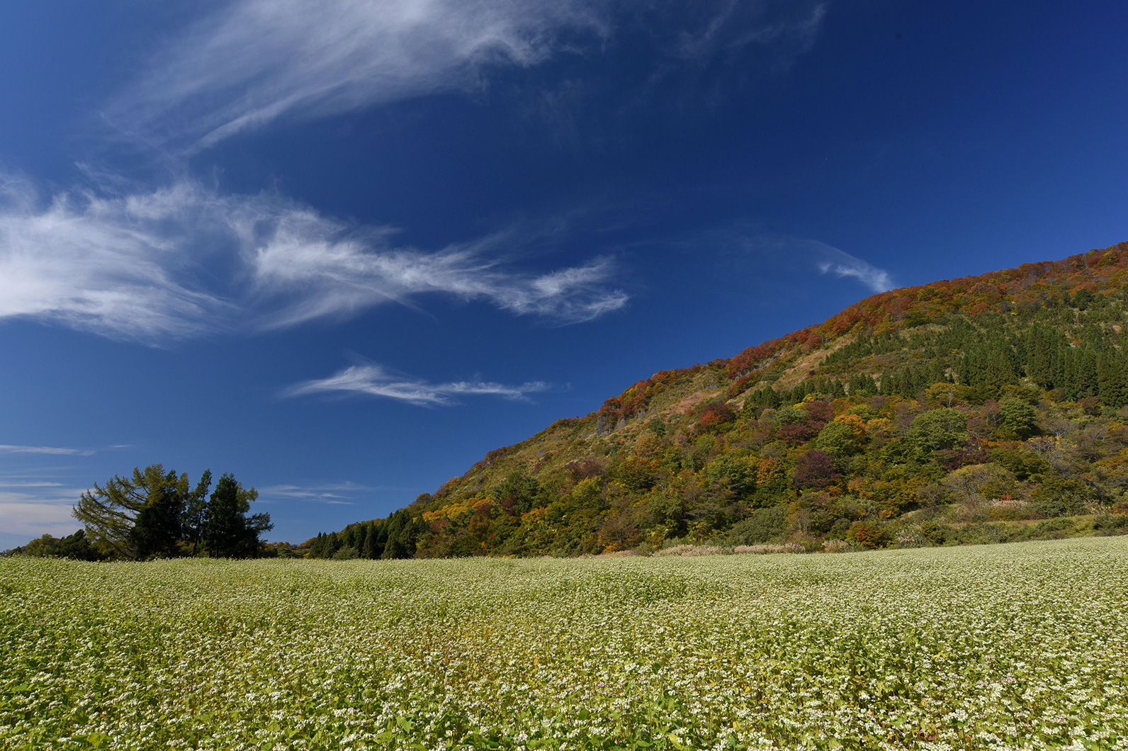 日本の原風景、里山で秋を見つける