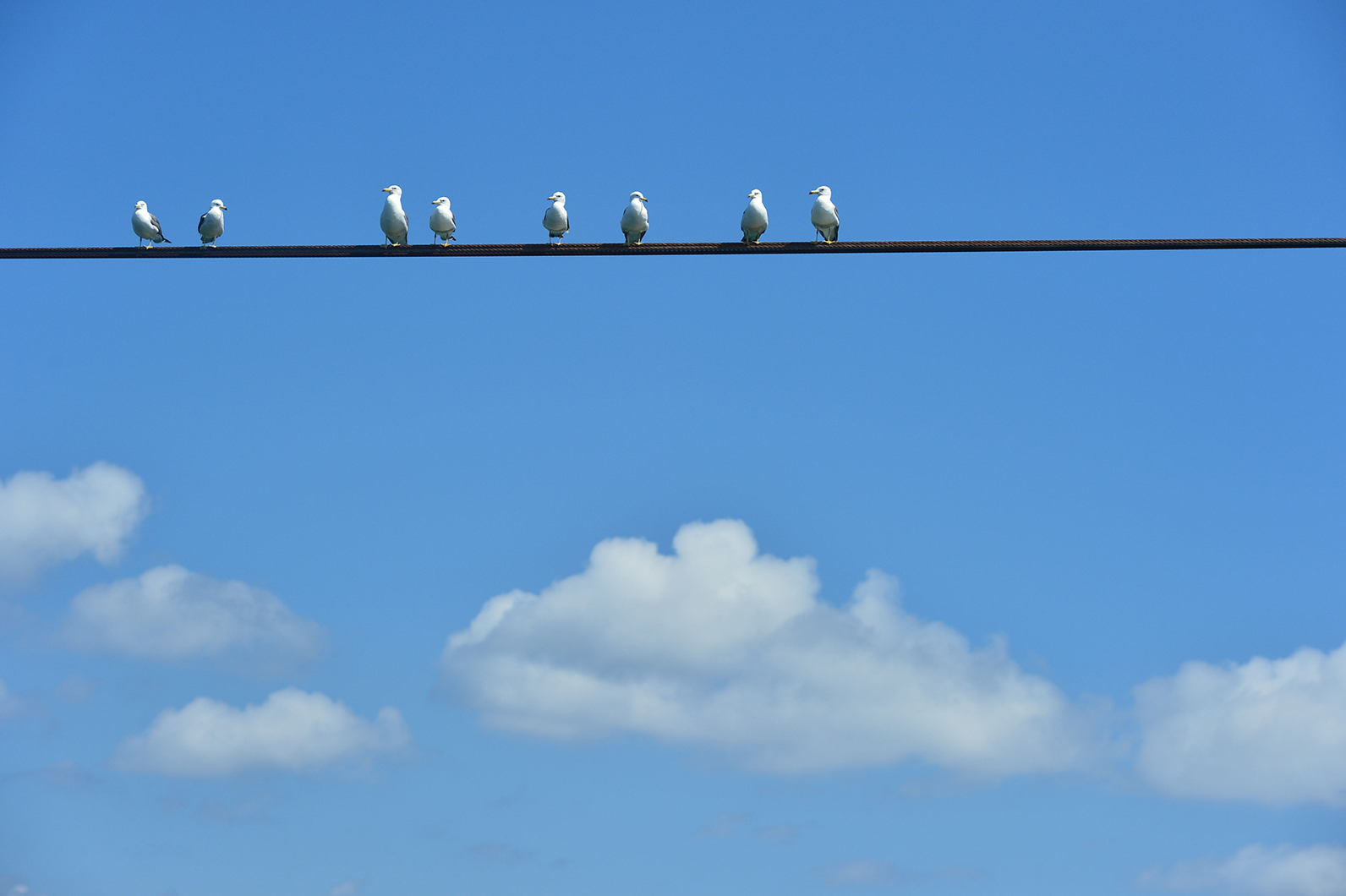 空をキャンバスに見立てる