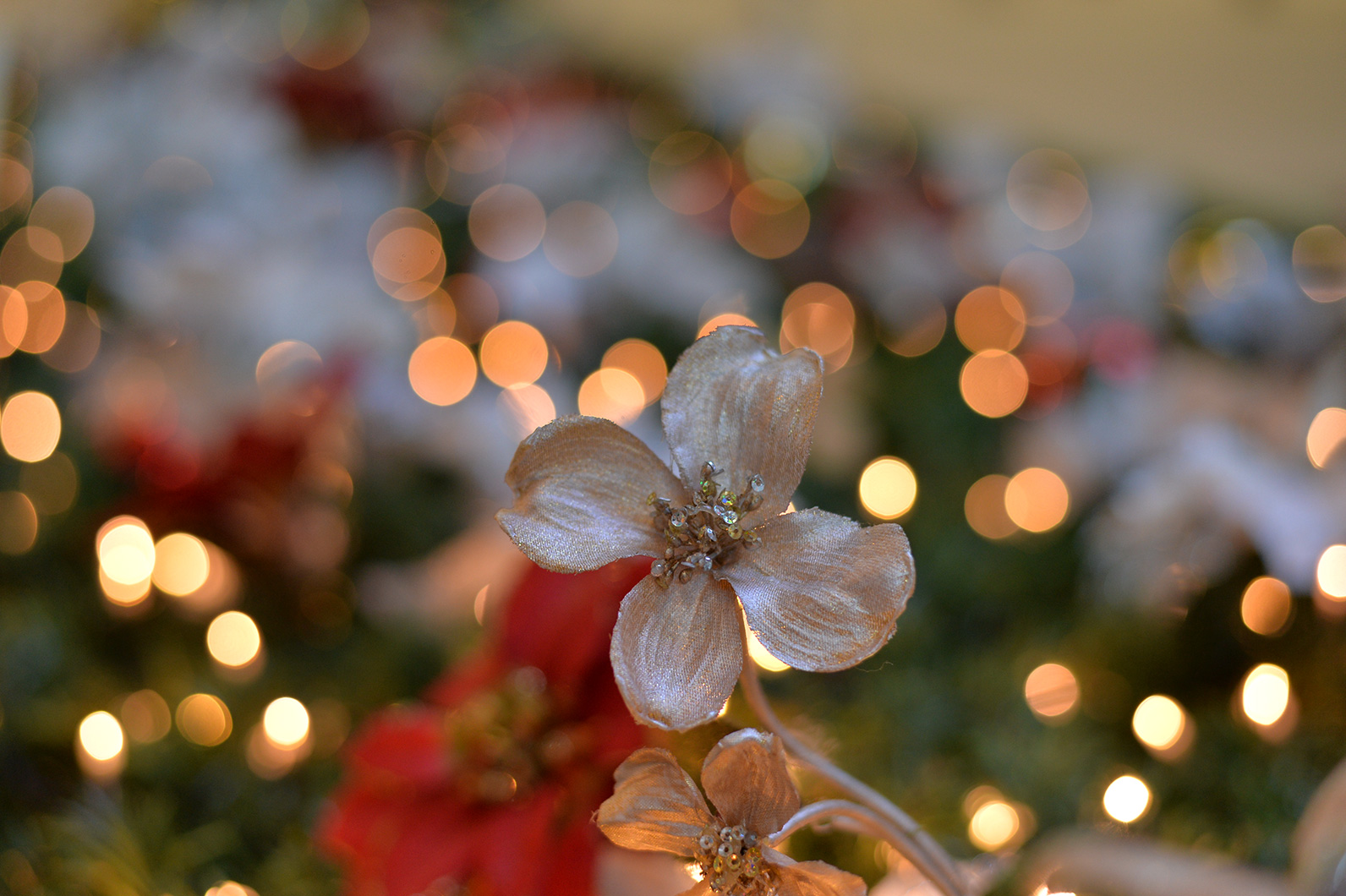 夜を彩るイルミネーションを残す