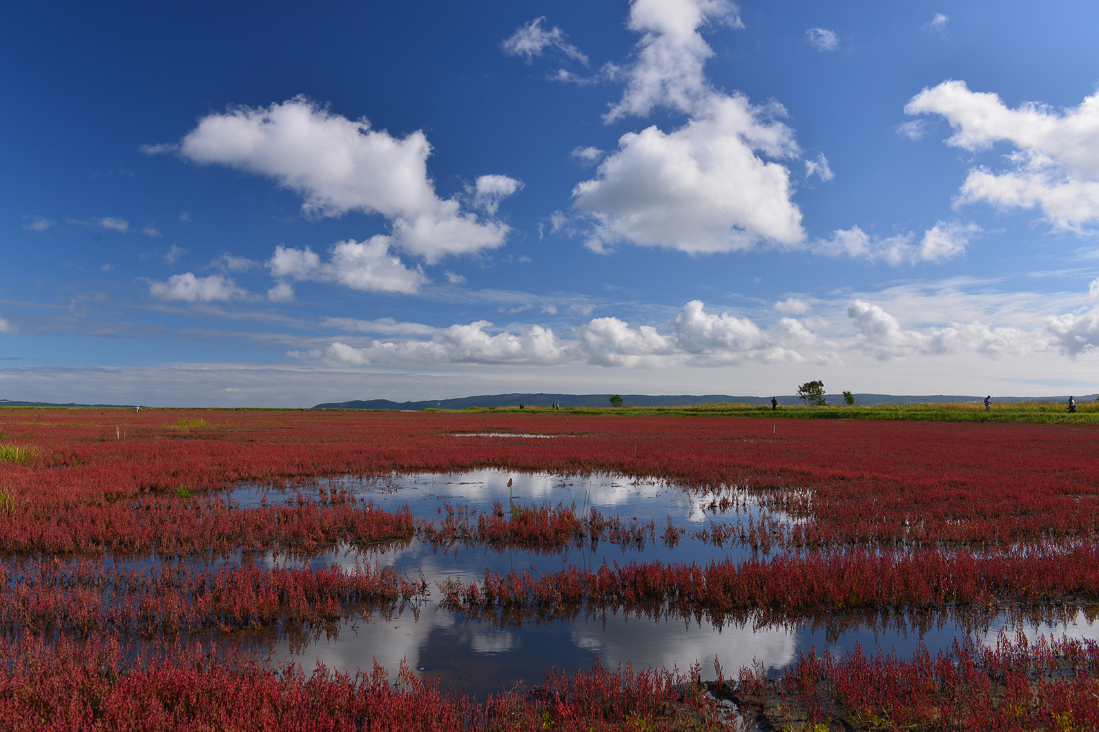 広大な自然の秋風景