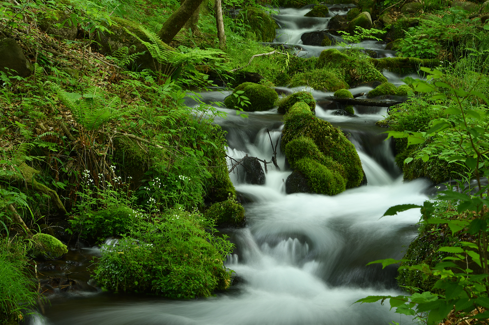 スローシャッターで撮る清流