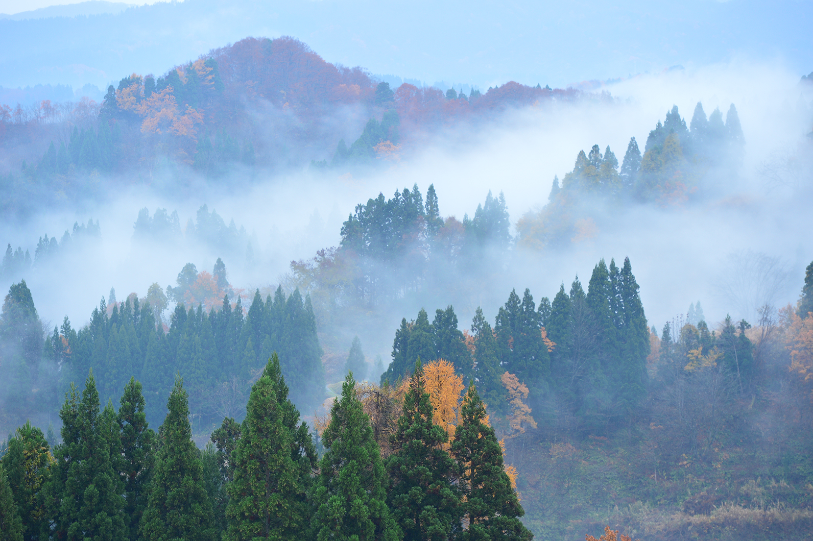 奥行きのある秋の風景