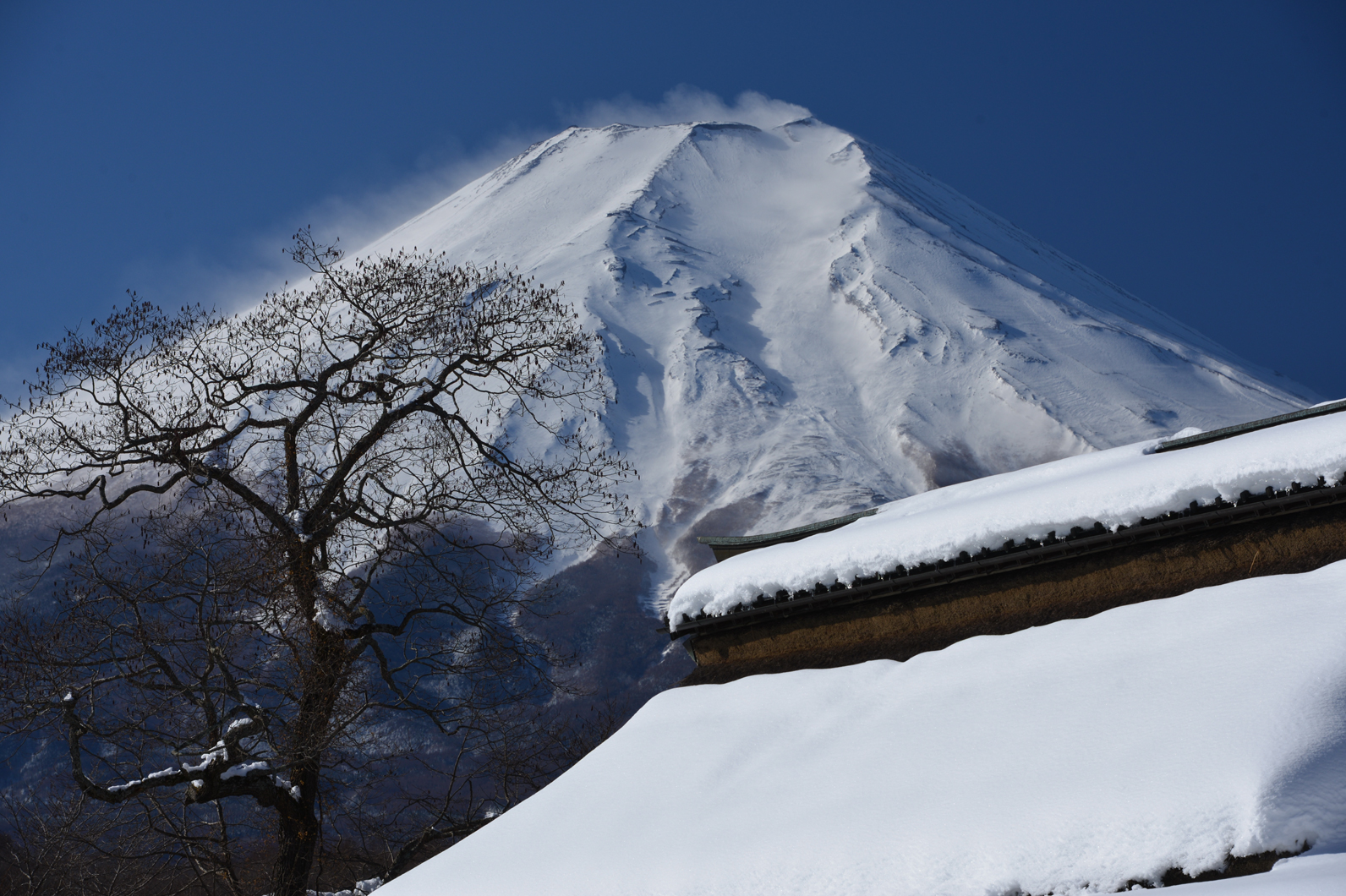 表情豊かな富士山