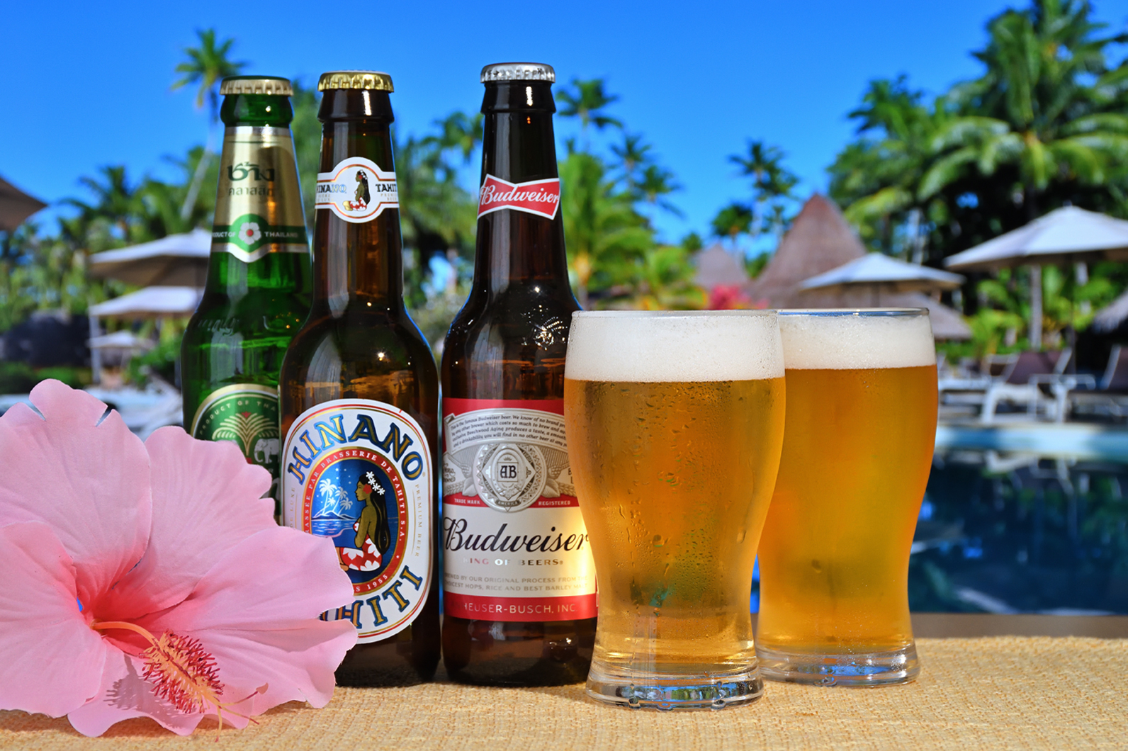 室内でリゾート風にビールを撮る