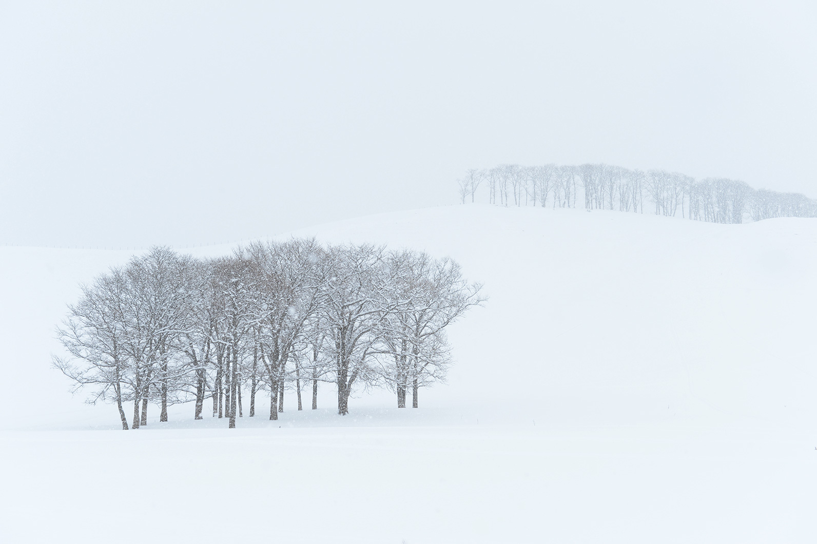 冬の寒さのなか、雪景色を撮る