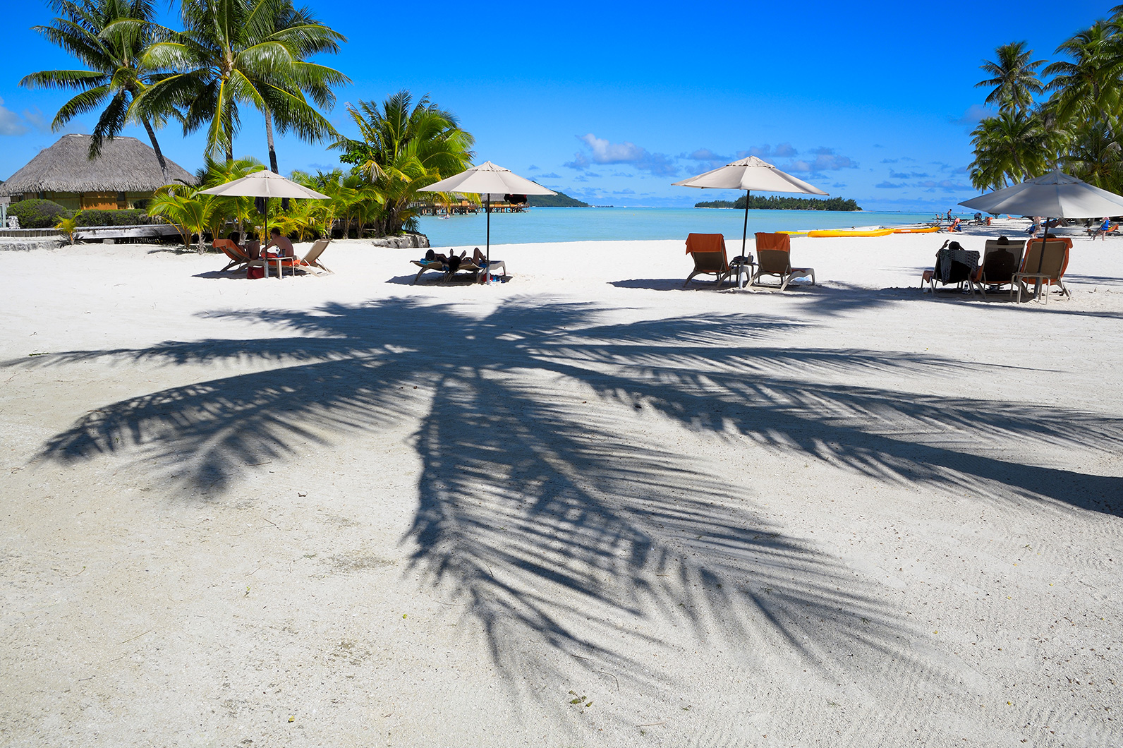 影をいかした夏スナップ