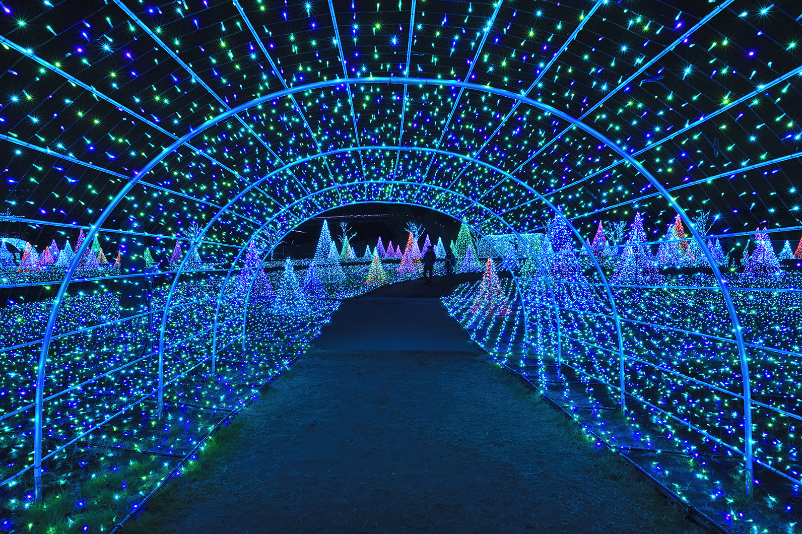 ホワイトバランスでイルミネーション風景を撮り分ける