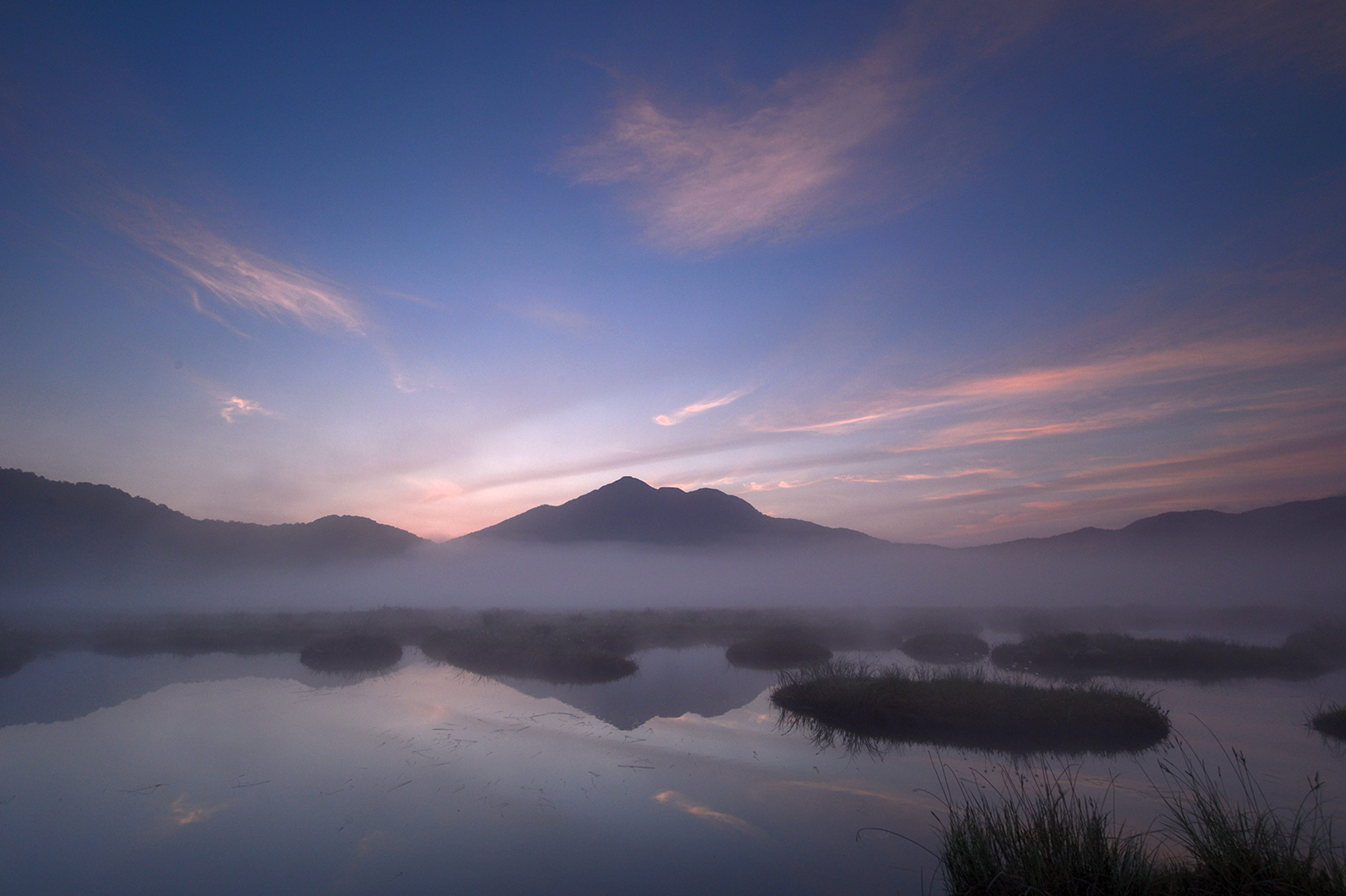 早朝の湿原