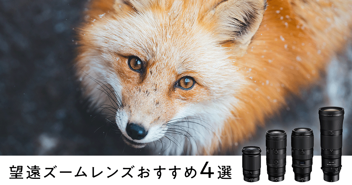 望遠ズームレンズおすすめ4選！野鳥や動物、乗り物、スポーツ撮影の