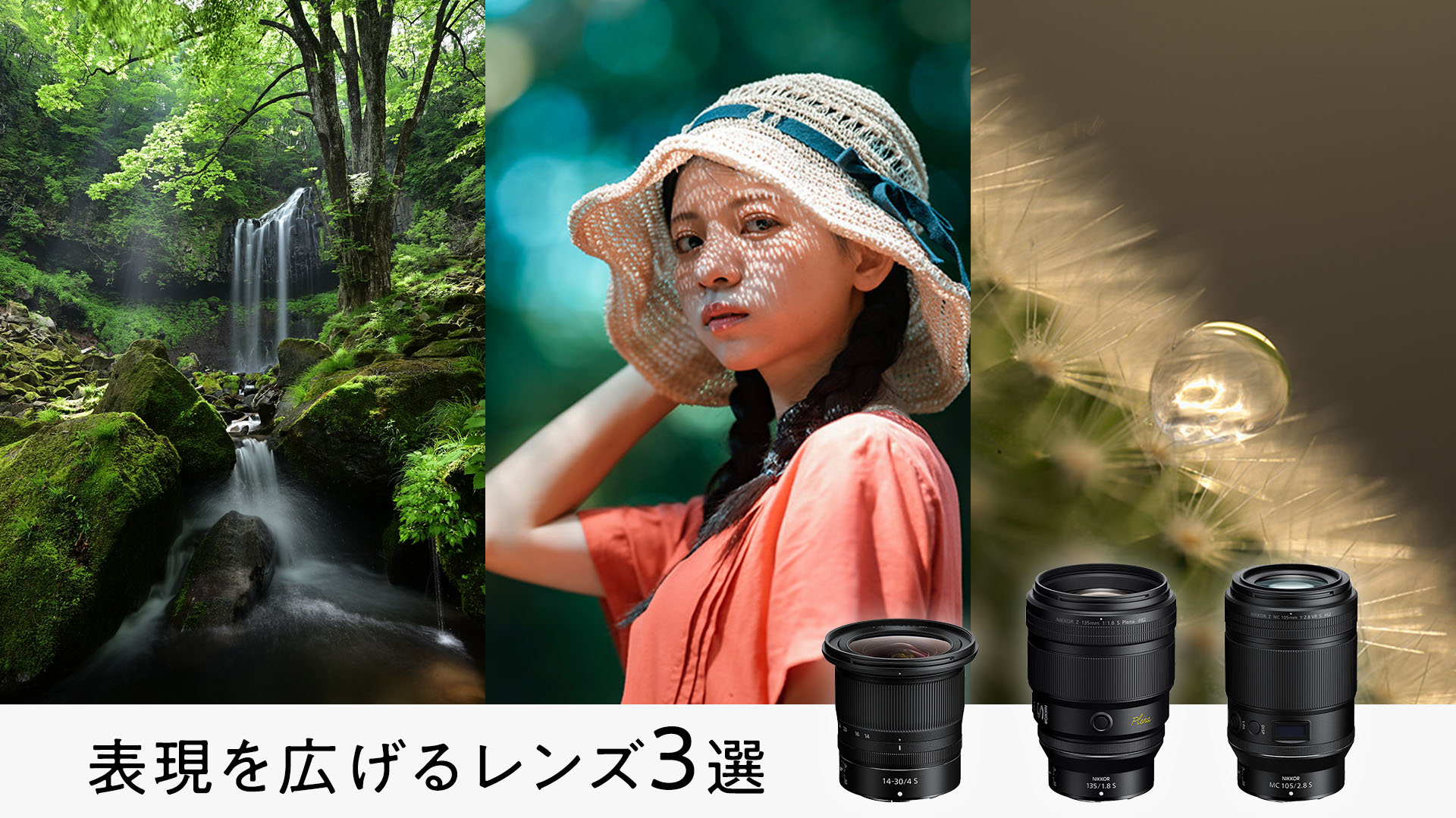 表現豊かなレンズ3選！超広角ズーム、玉ボケを追求した単焦点、マクロ撮影【NIKKOR Z レンズ】