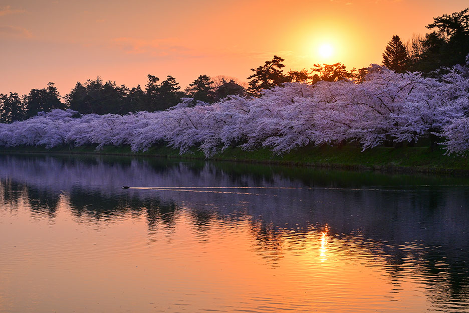 NIKKOR Z 24-120mm f/4 Sで撮影した朝日