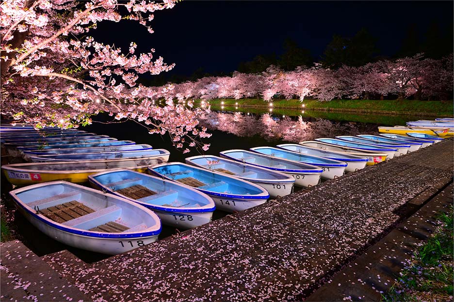 NIKKOR Z 14-30mm f/4 Sで撮影した桜風景