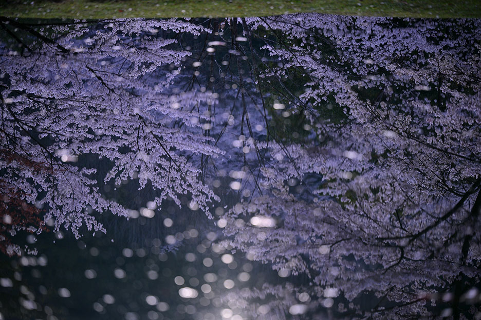 NIKKOR Z 70-200mm f/2.8 VR Sで撮影した水面