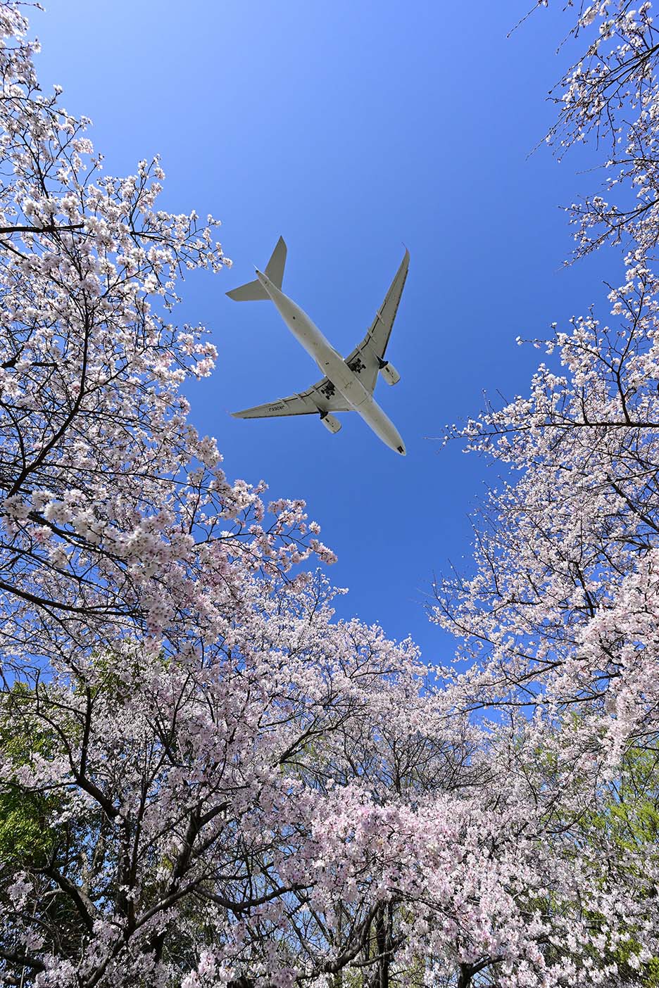 NIKKOR Z 14-30mm f/4 Sで風景と一緒に飛行機を撮影