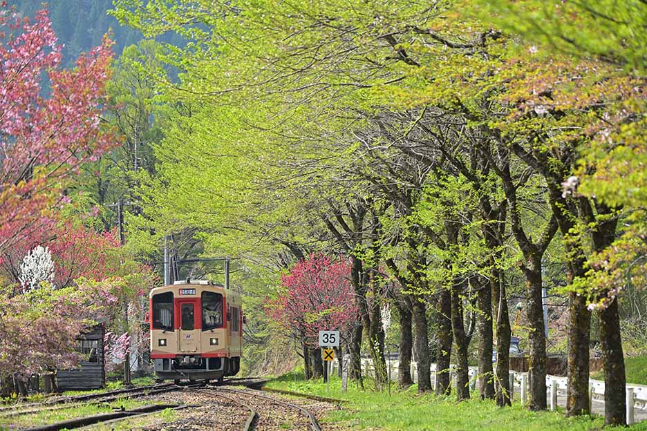 NIKKOR Z 28-400mm f/4-8 VRで撮影した鉄道風景