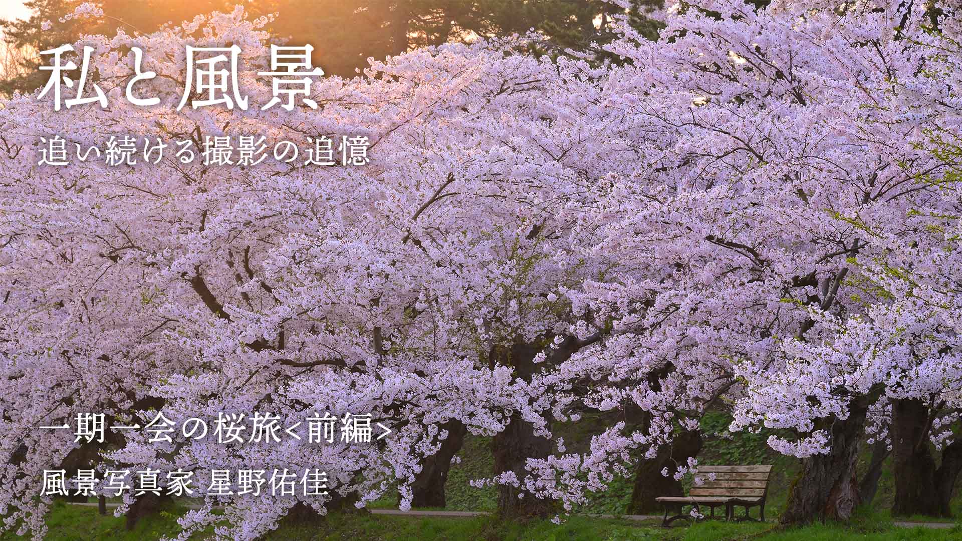 【私と風景】一期一会の桜旅＜前編＞星野佑佳