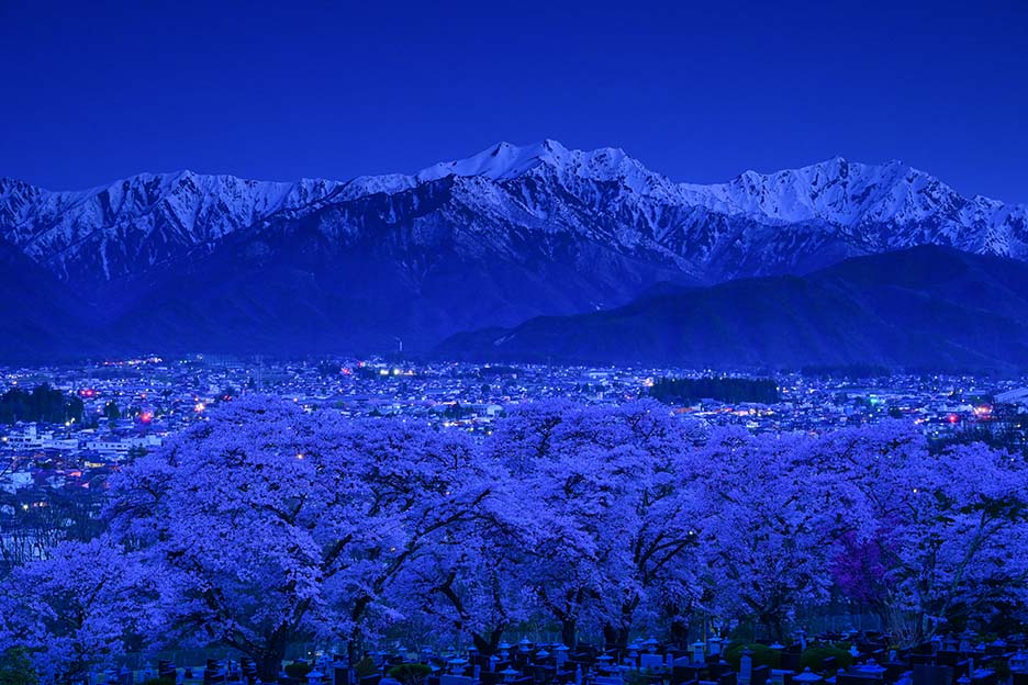 暗闇の中での桜撮影