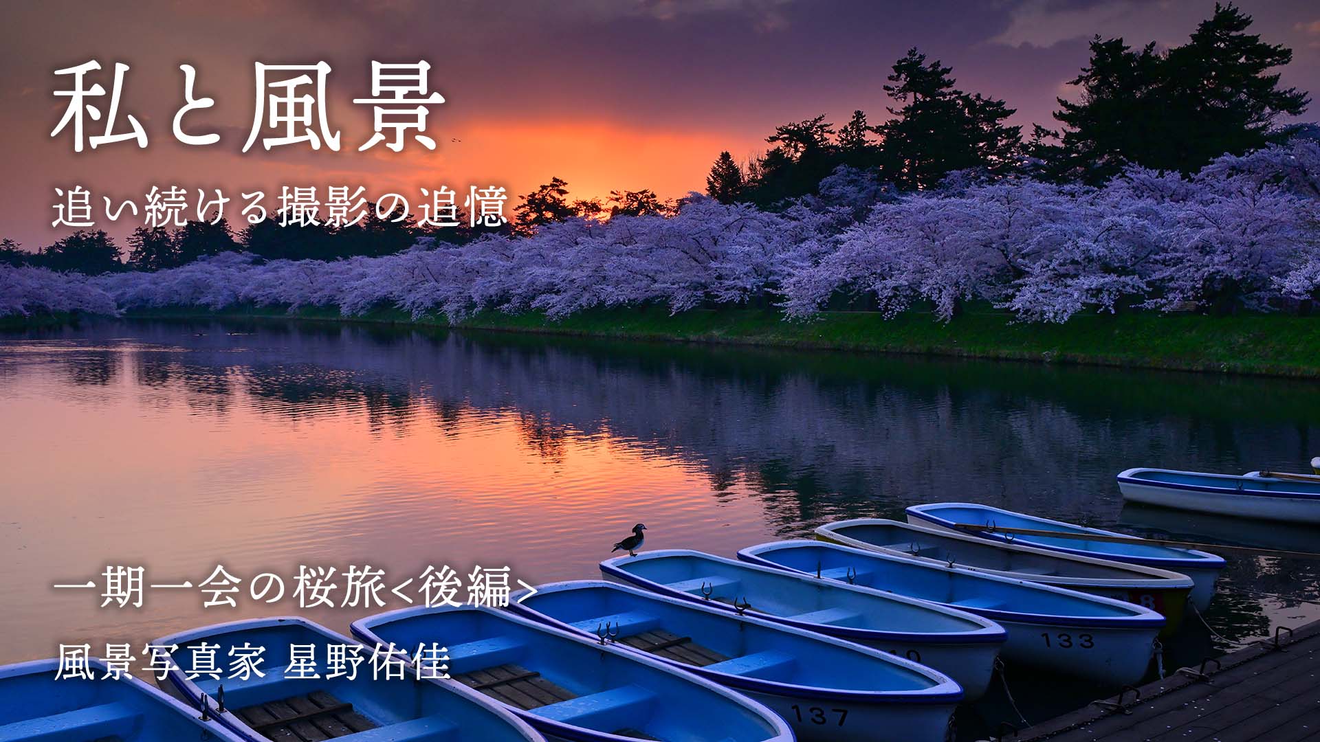 【私と風景】一期一会の桜旅＜後編＞星野佑佳