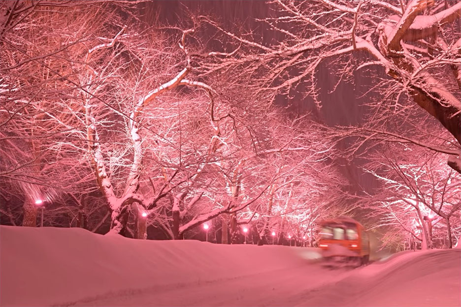 ライトアップされた幻想的な鉄道風景