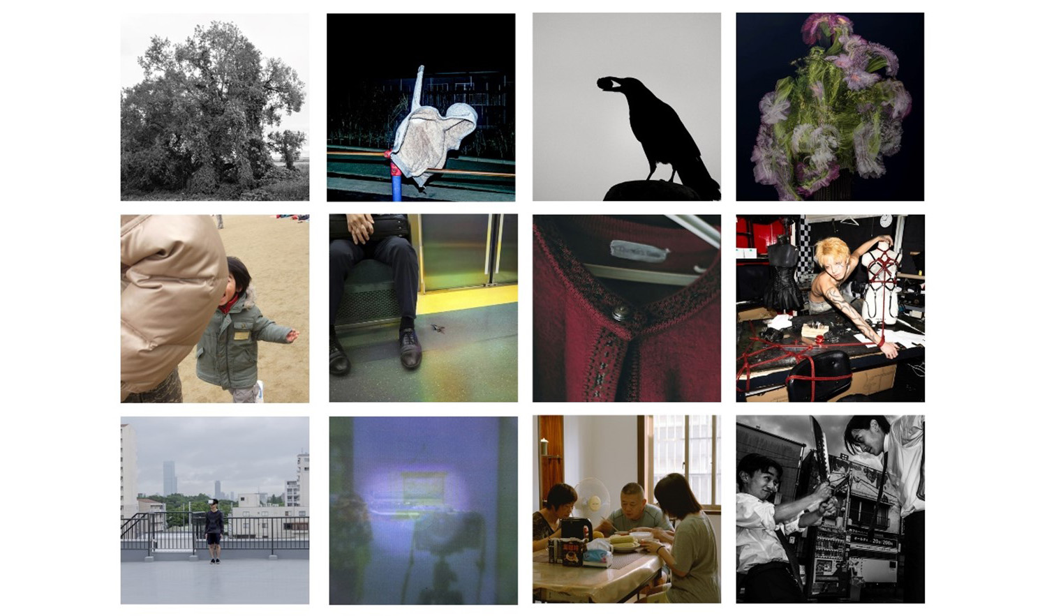 写真専攻 大学・専門学校選抜作品展「New Generation Photography 2025」