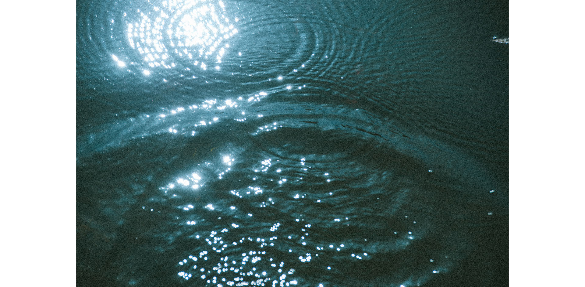 THE GALLERYセレクション展 竹村麻紀子 写真展「kakera」