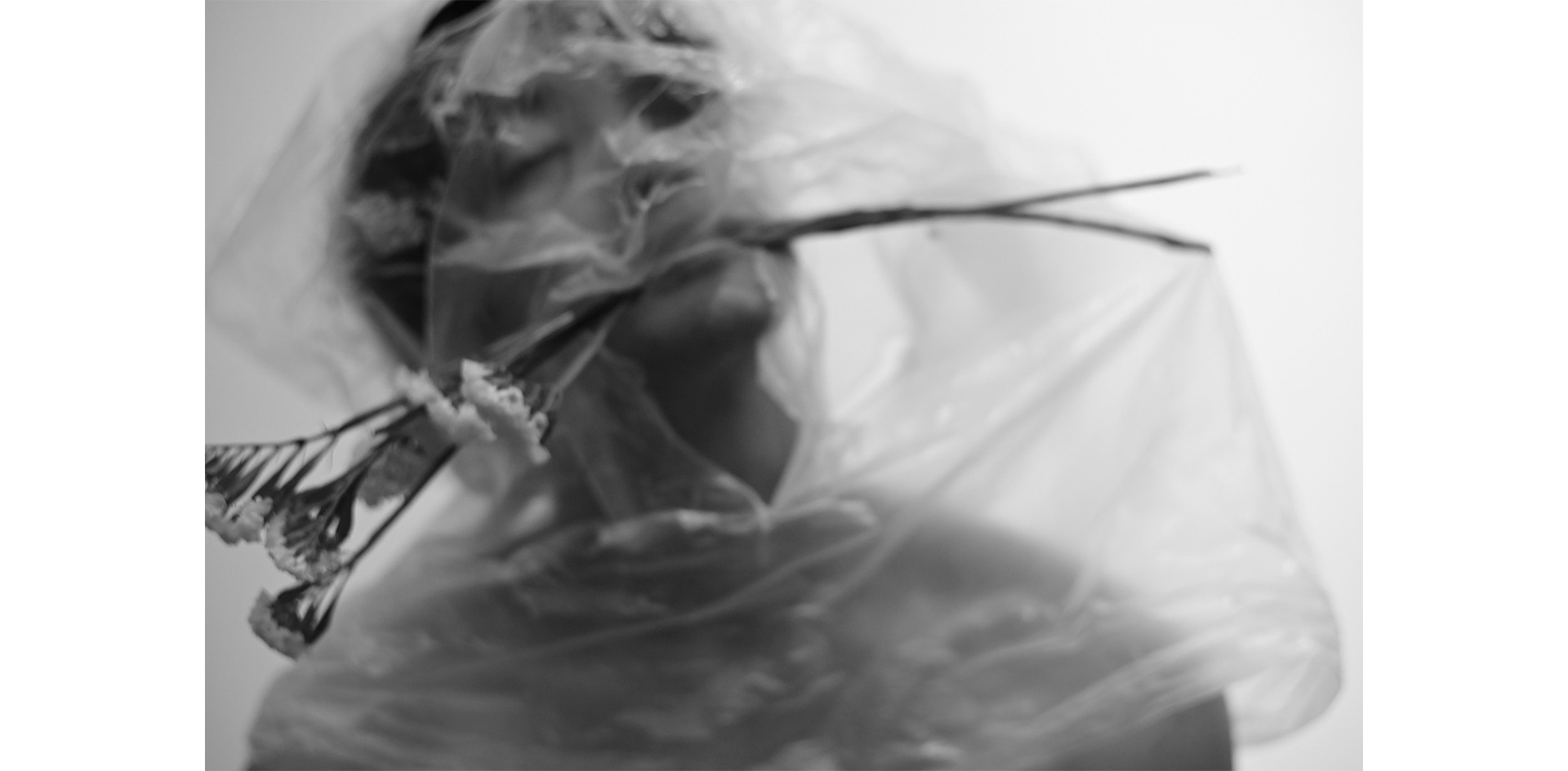 THE GALLERY企画展 古屋呂敏 写真展「MY FOCAL LENGTH」