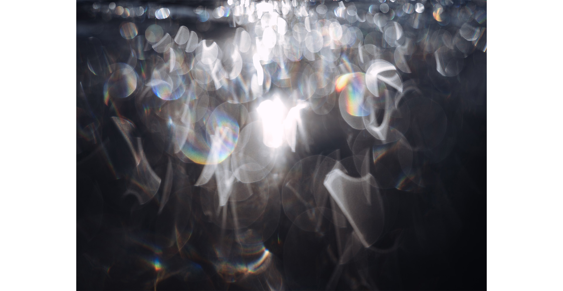 THE GALLERYセレクション展 広谷勇樹 写真展「羽化、環の狭間にたゆたう」