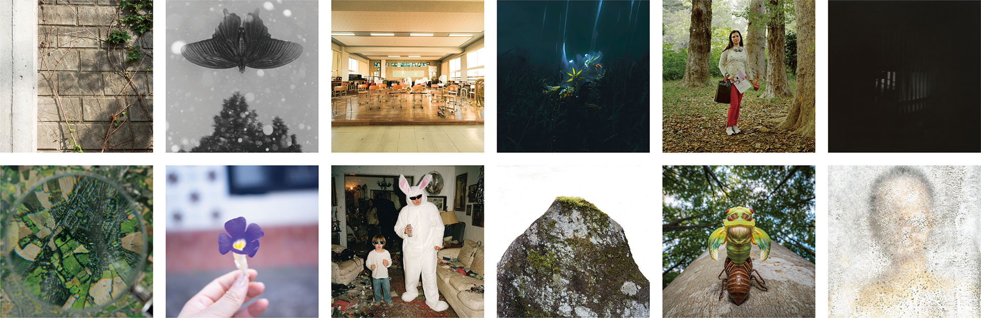 写真専攻 大学・専門学校選抜作品展「New Generation Photography 2026」