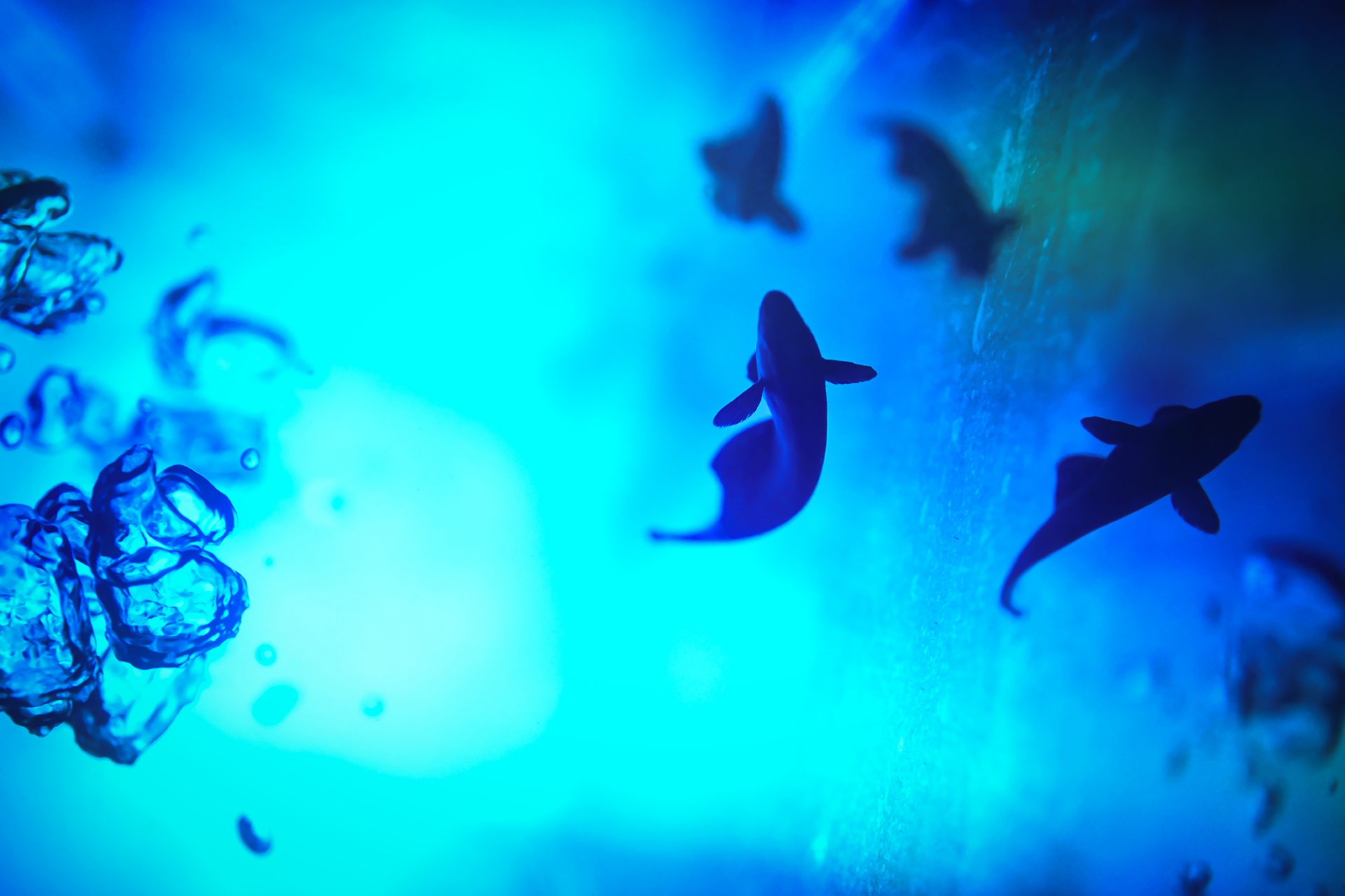 THE GALLERY セレクション展 水咲奈々 写真展 「Gradually」