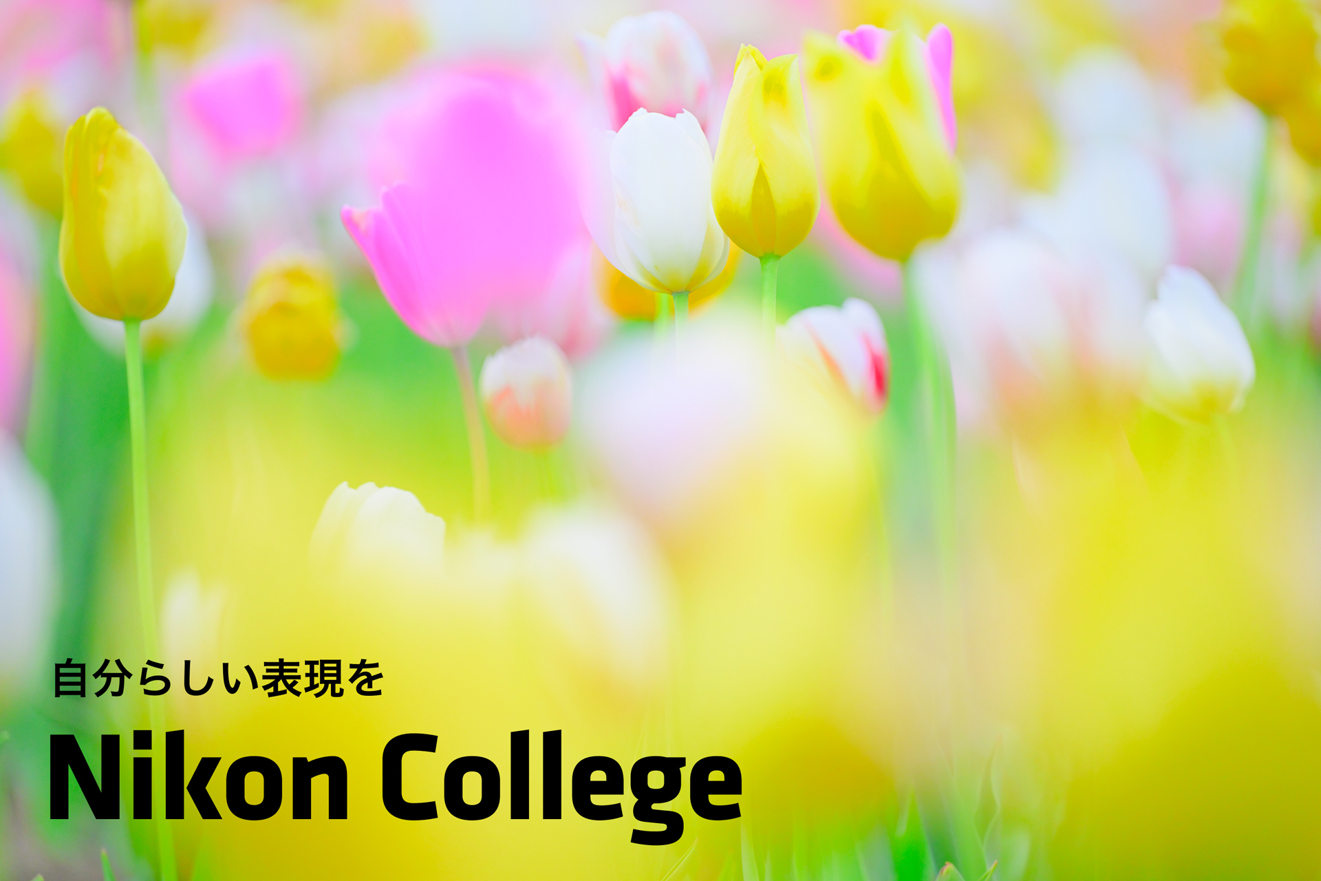 自分らしい表現を ニコン カレッジ