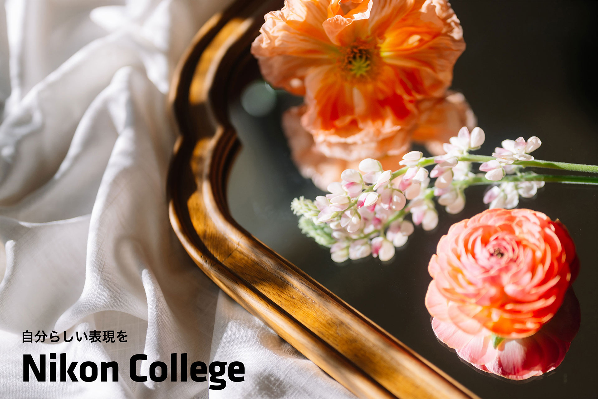 自分らしい表現を ニコン カレッジ