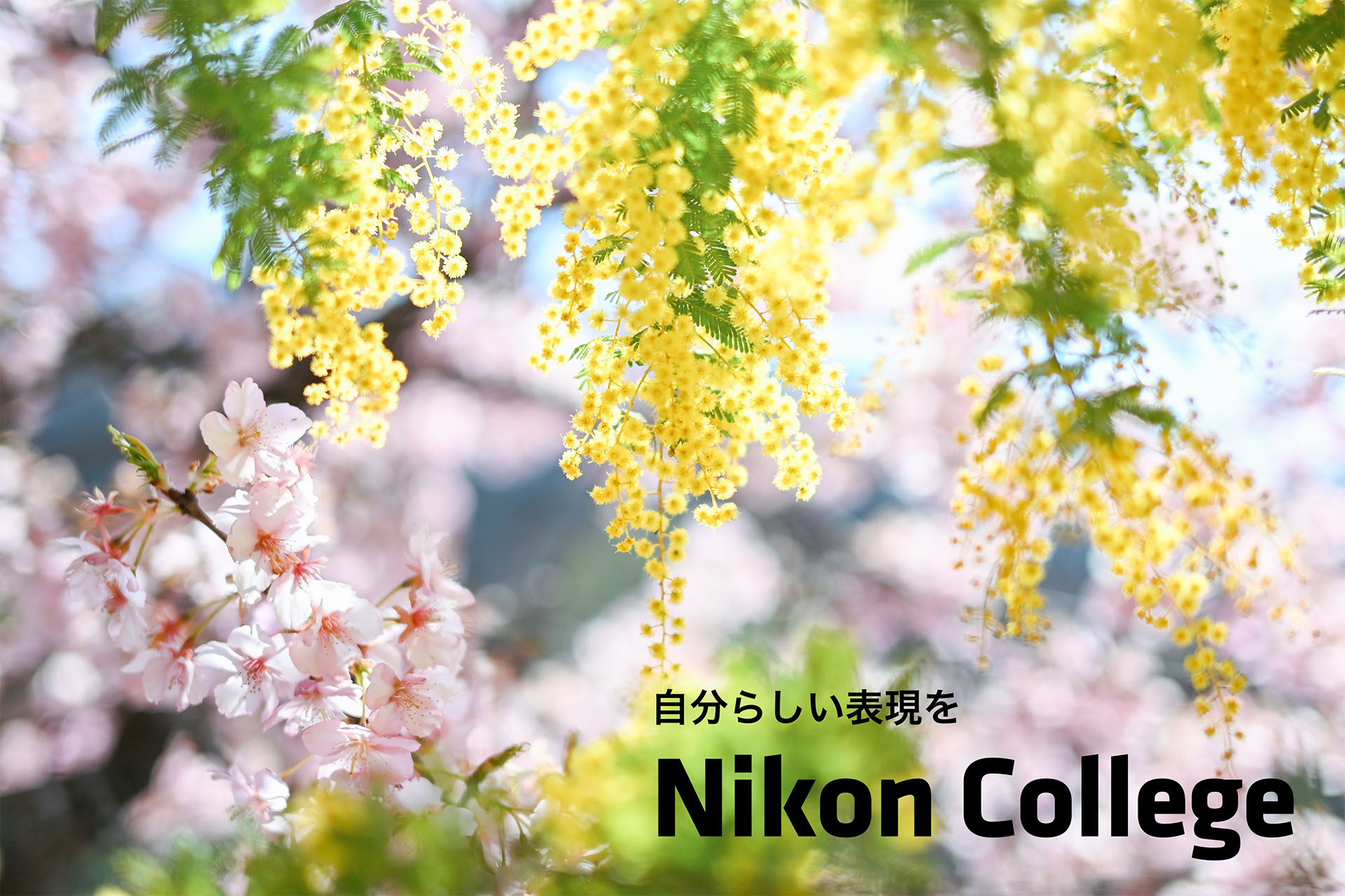 自分らしい表現を ニコン カレッジ