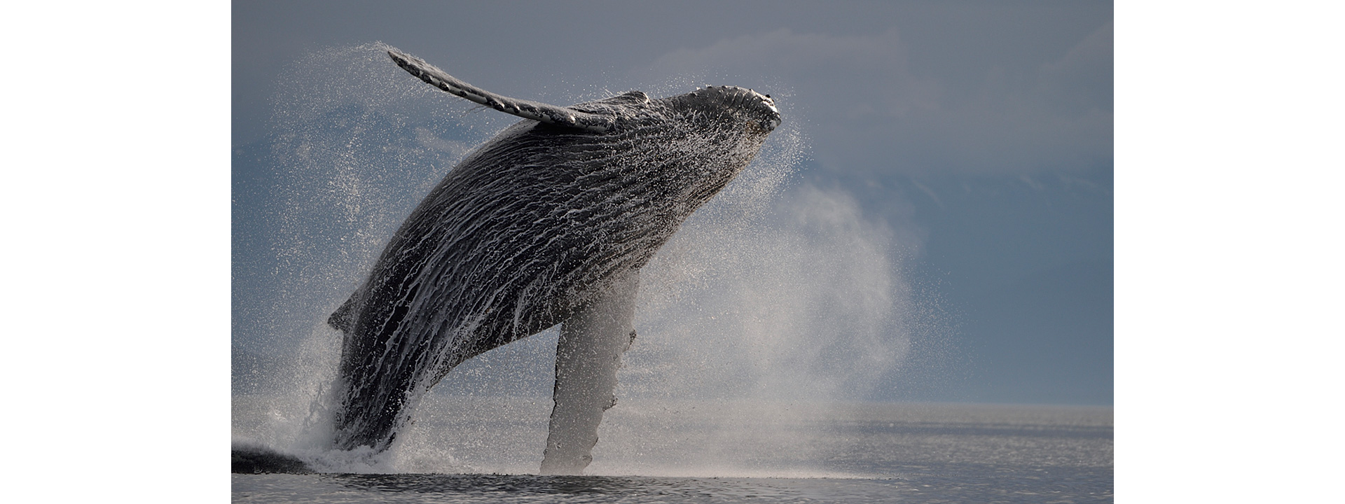 写真家 松本紀生氏の写真